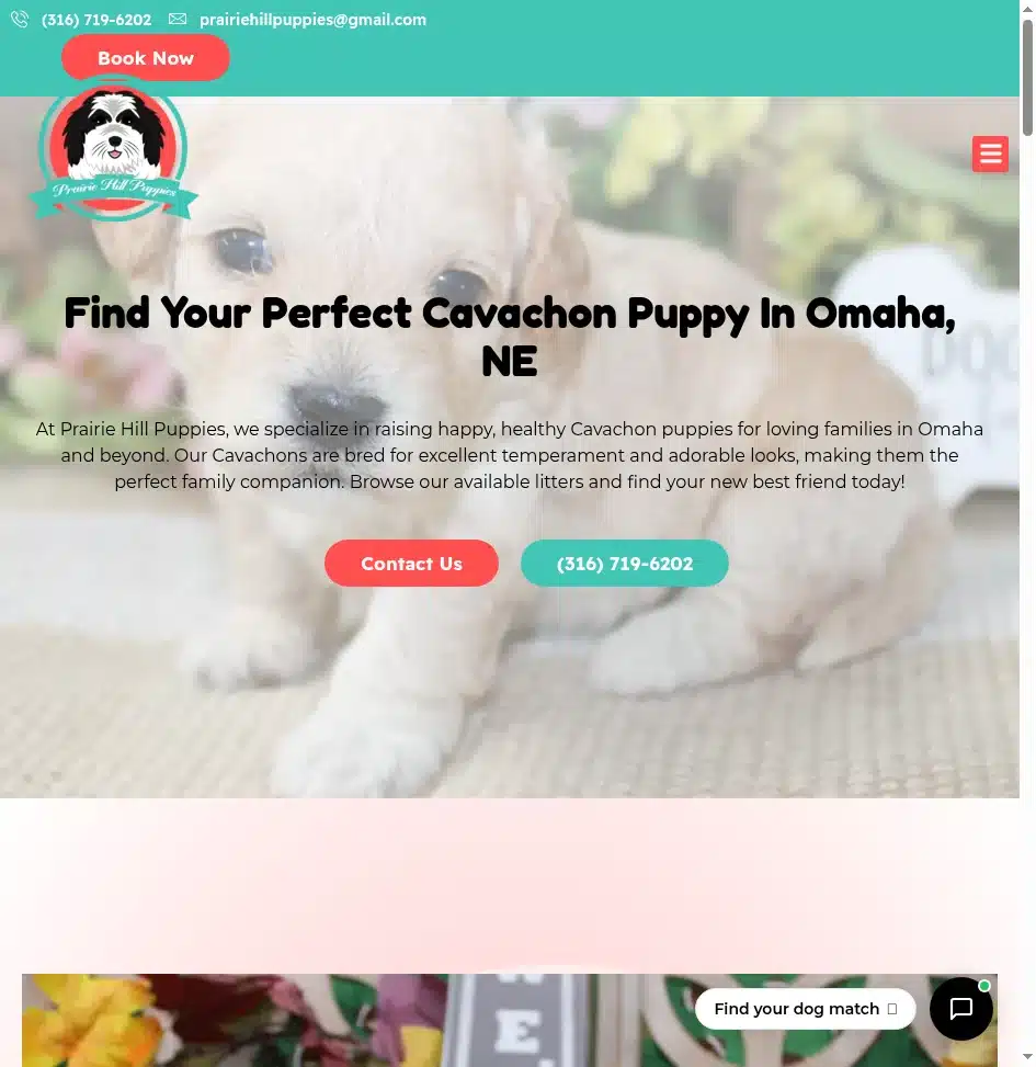 Prairie Hill Puppies