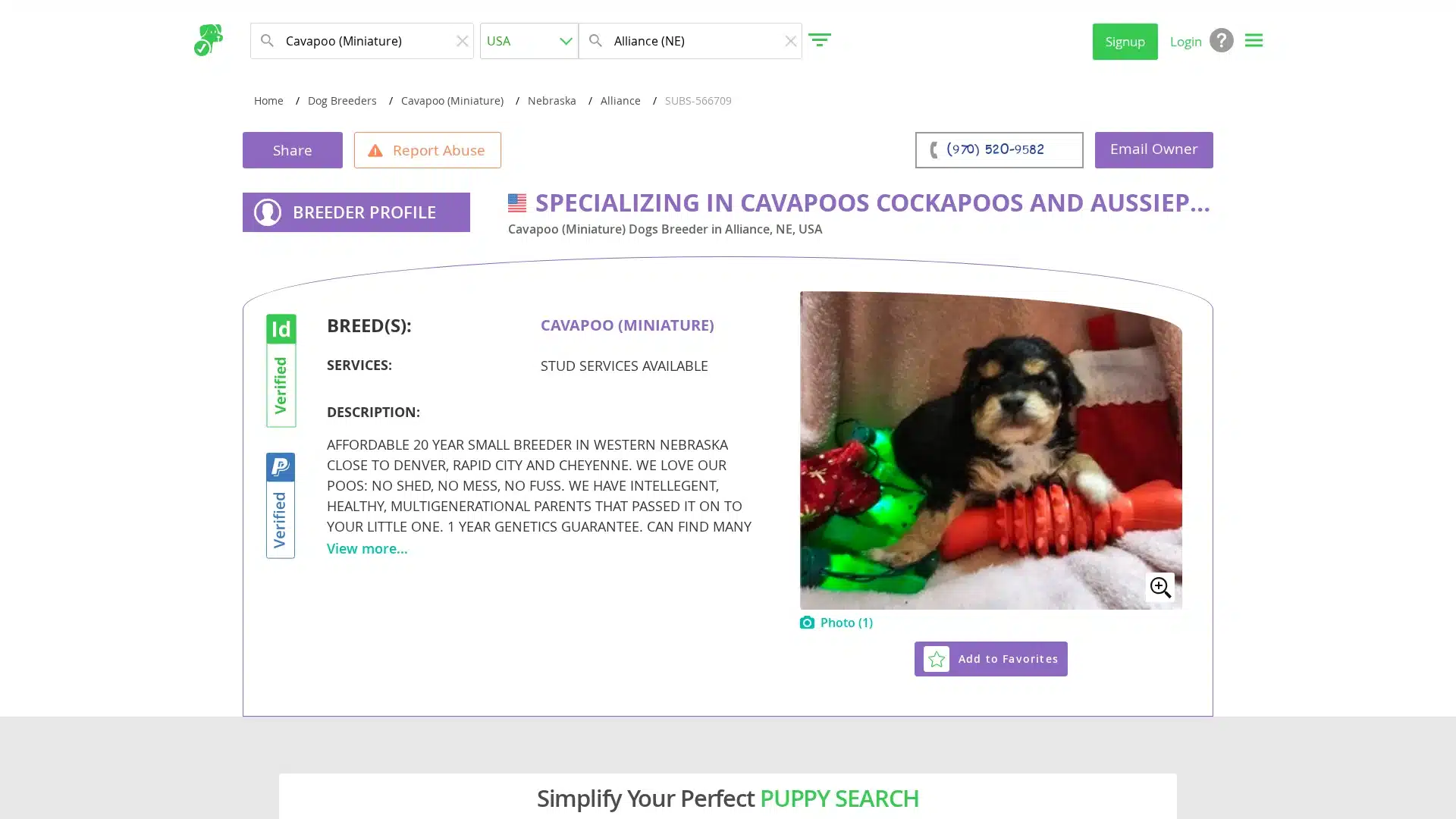 Alliance Cavapoo Breeder profile