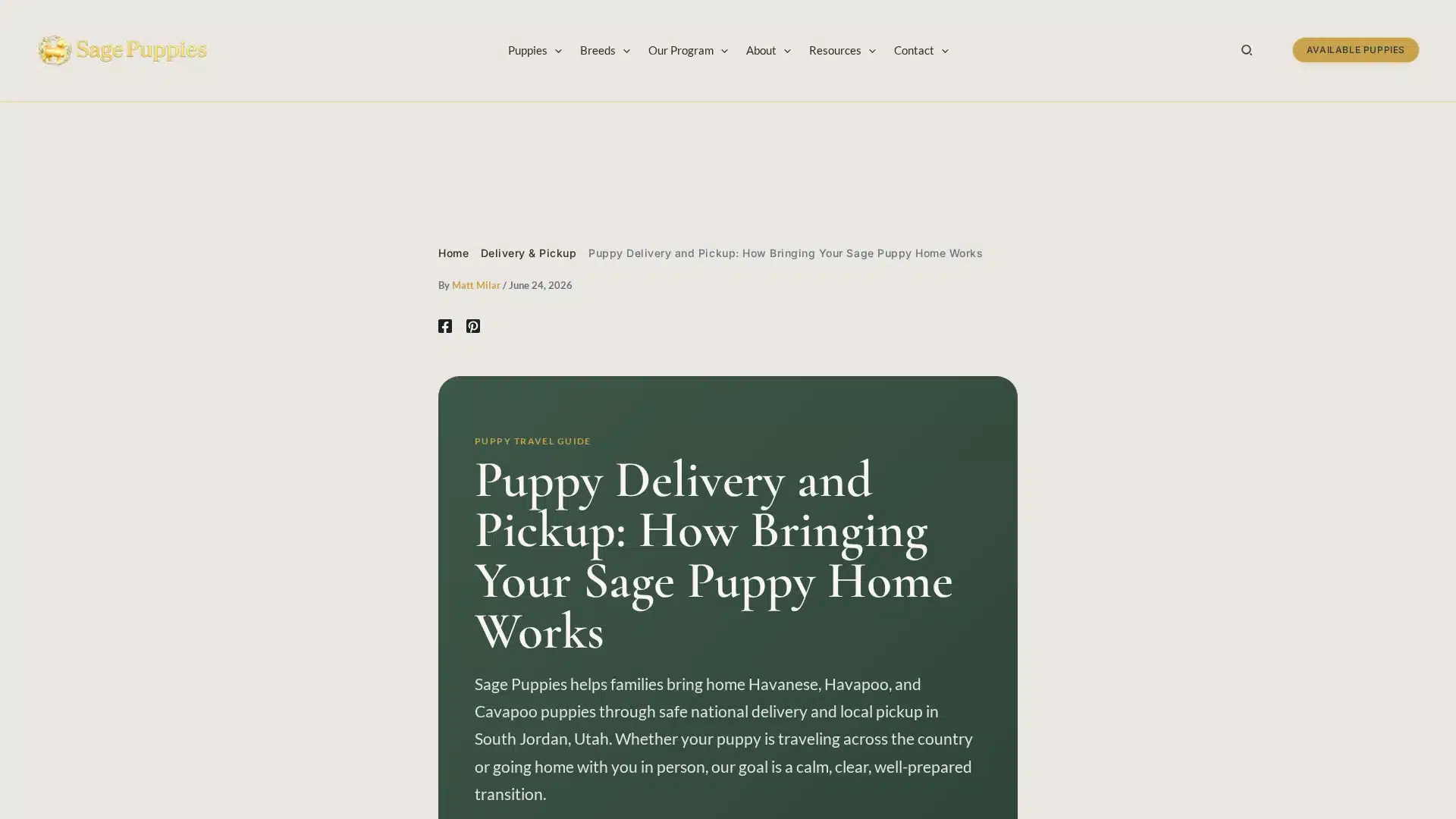 Coordinated delivery from Sage Puppies
