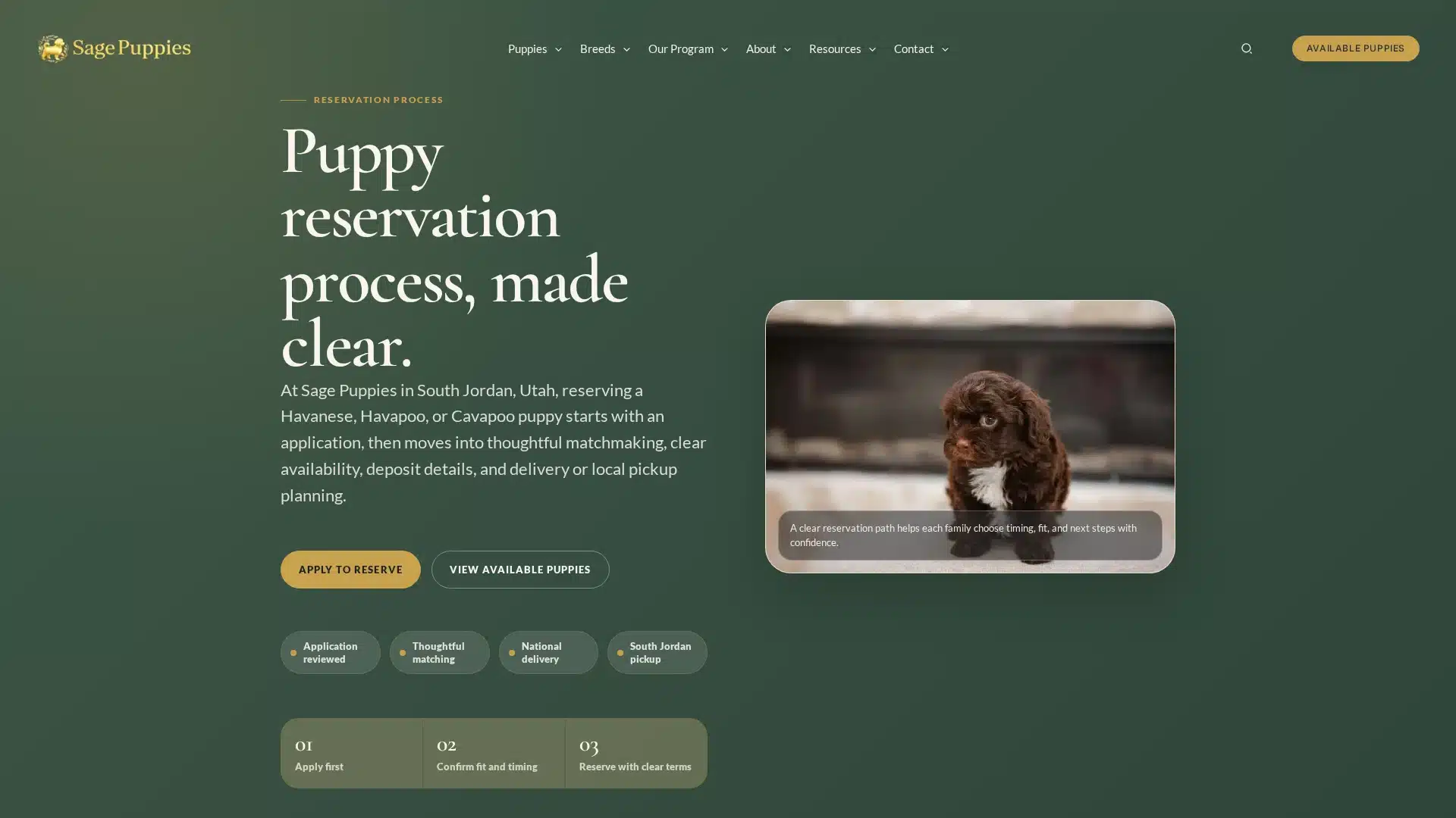 Sage Puppies Havapoo puppy reservation process