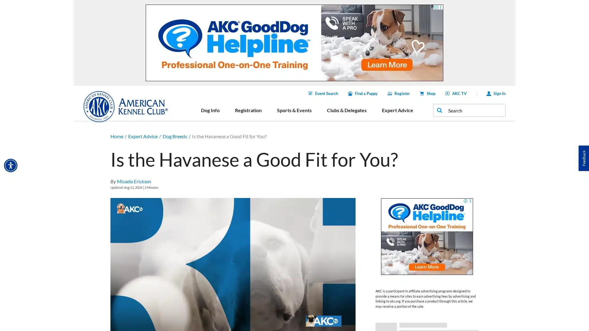 Havanese