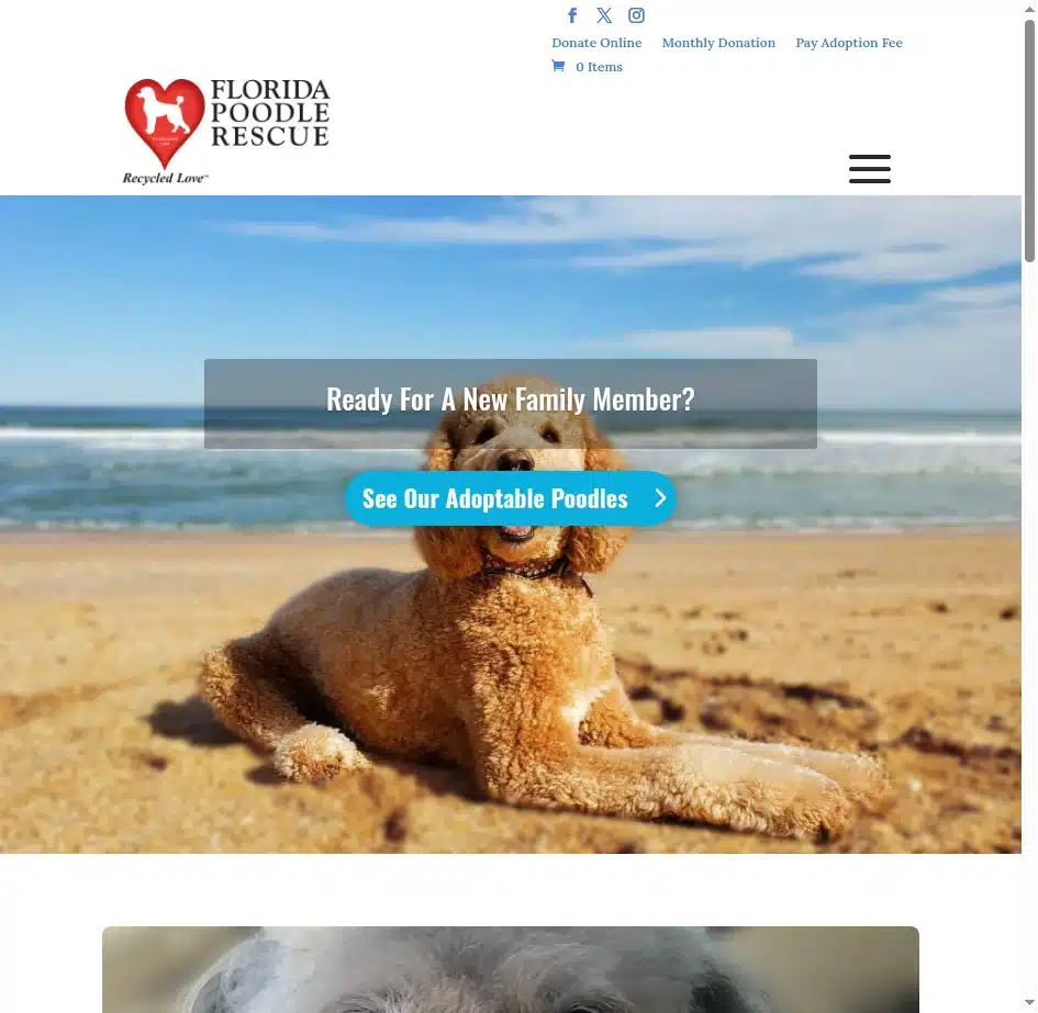 Florida Poodle Rescue