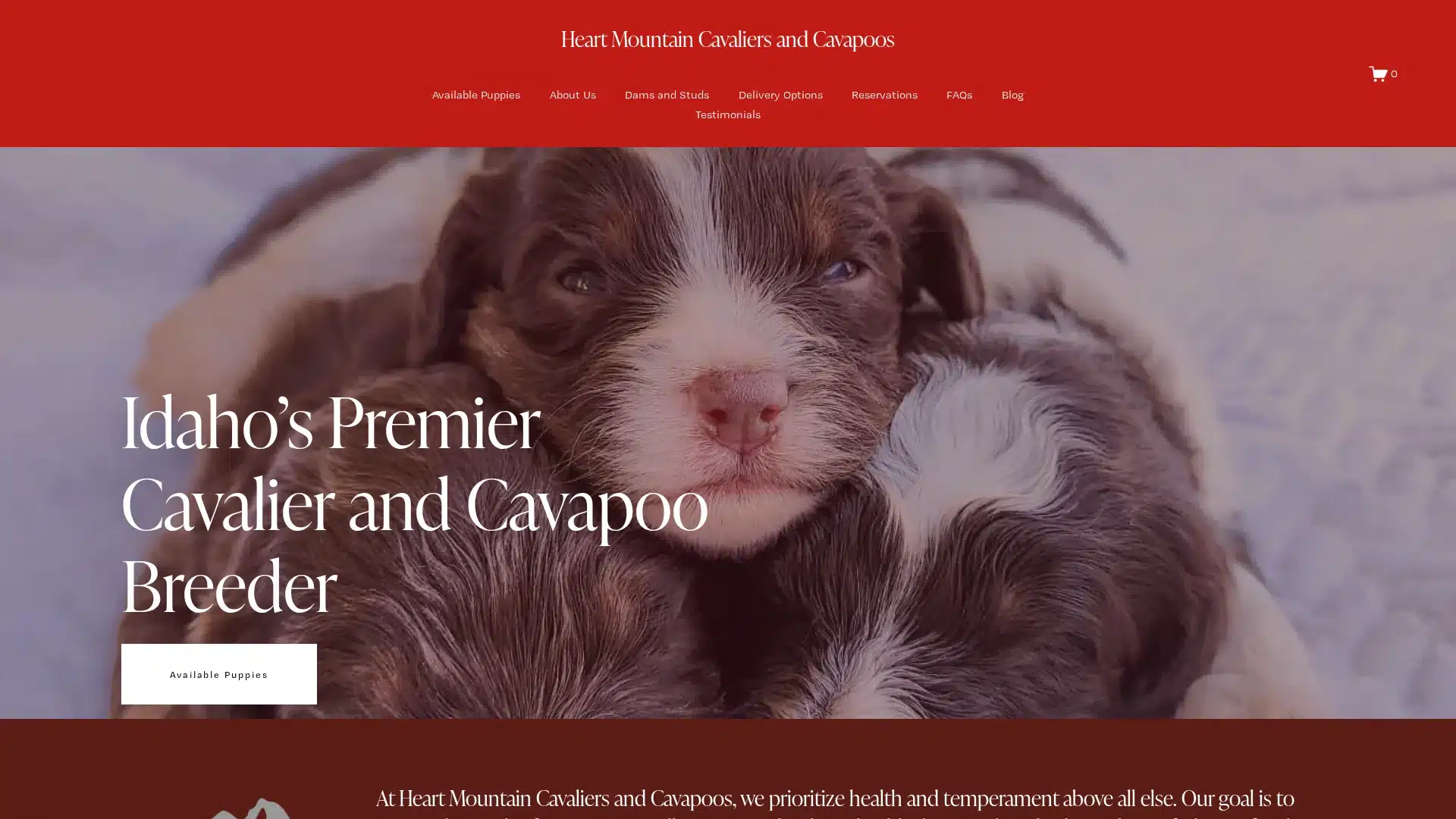 Heart Mountain Cavaliers and Cavapoos