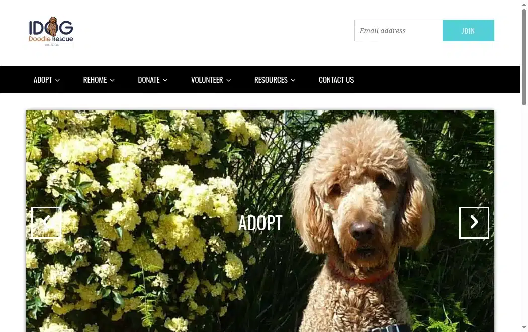 IDOG Rescue