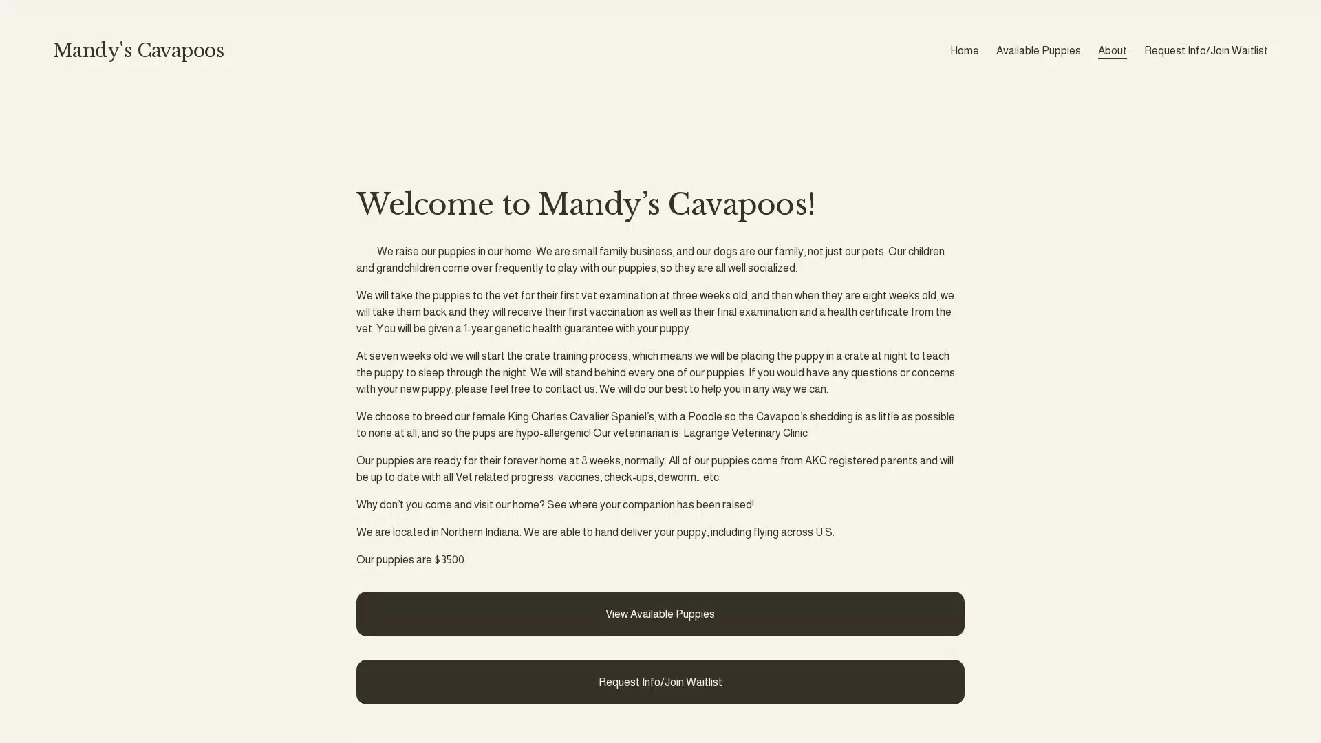 Mandy's Cavapoos