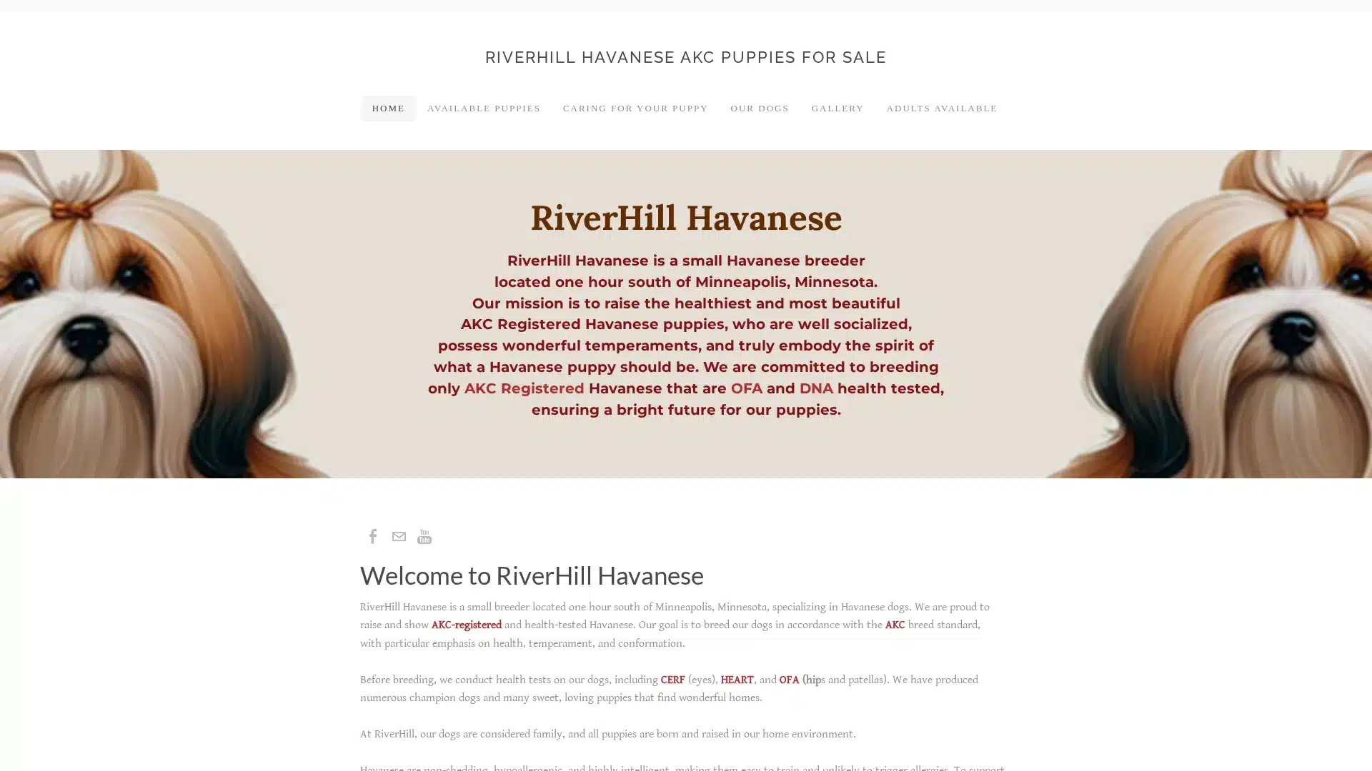 RiverHill Havanese
