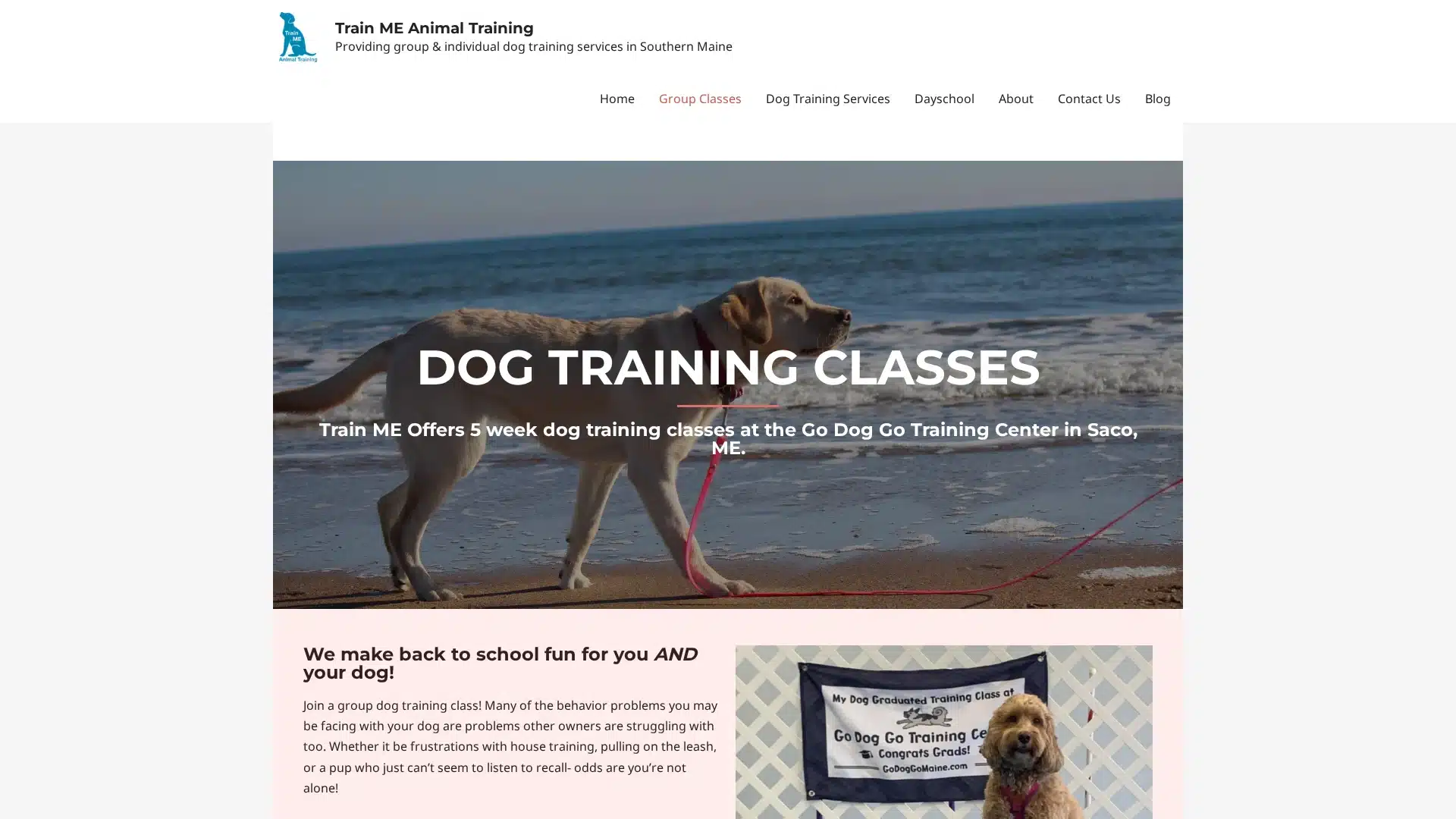 Go Dog Go Puppy Start Right Preschool