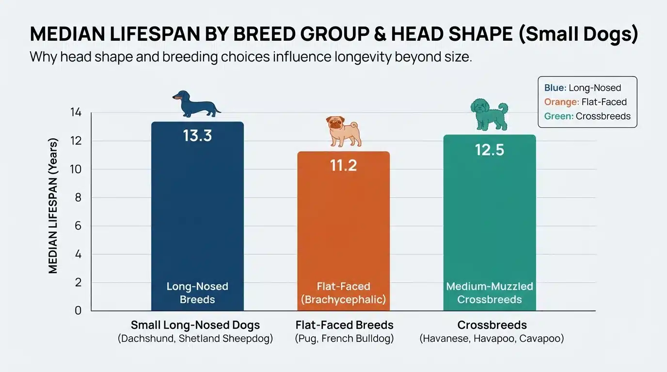 Bar chart showing median lifespans by dog breed category