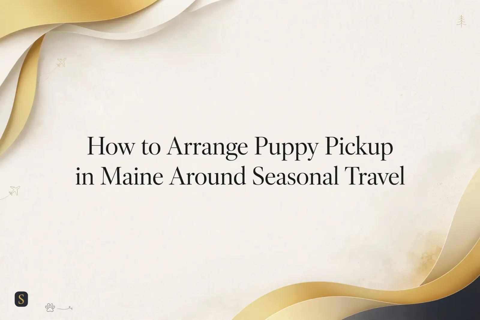 Elegant background for "How to Arrange Puppy Pickup in Maine Around Seasonal Travel" blog post, featuring flowing golden curves and subtle travel icons.