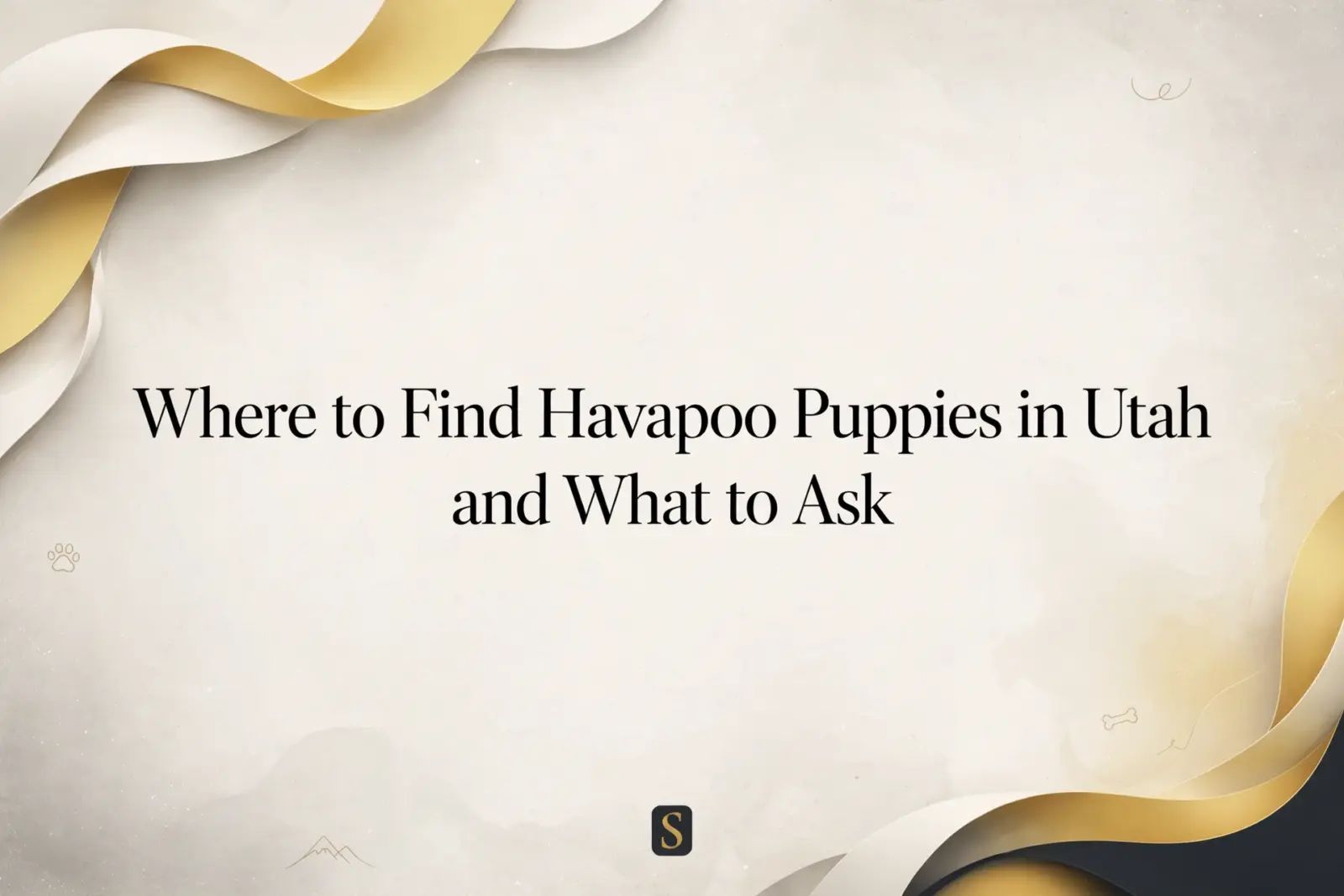 Title card for "Where to Find Havapoo Puppies in Utah and What to Ask" blog post, featuring elegant abstract gold and cream swirls and subtle paw print and bone graphics.