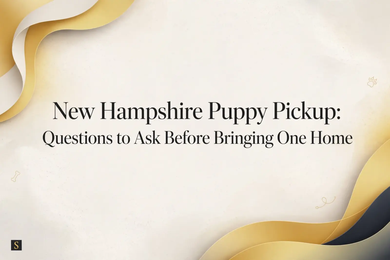 Title graphic for "New Hampshire Puppy Pickup: Questions to Ask Before Bringing One Home" with subtle gold and cream wavy borders and small paw print and bone icons.