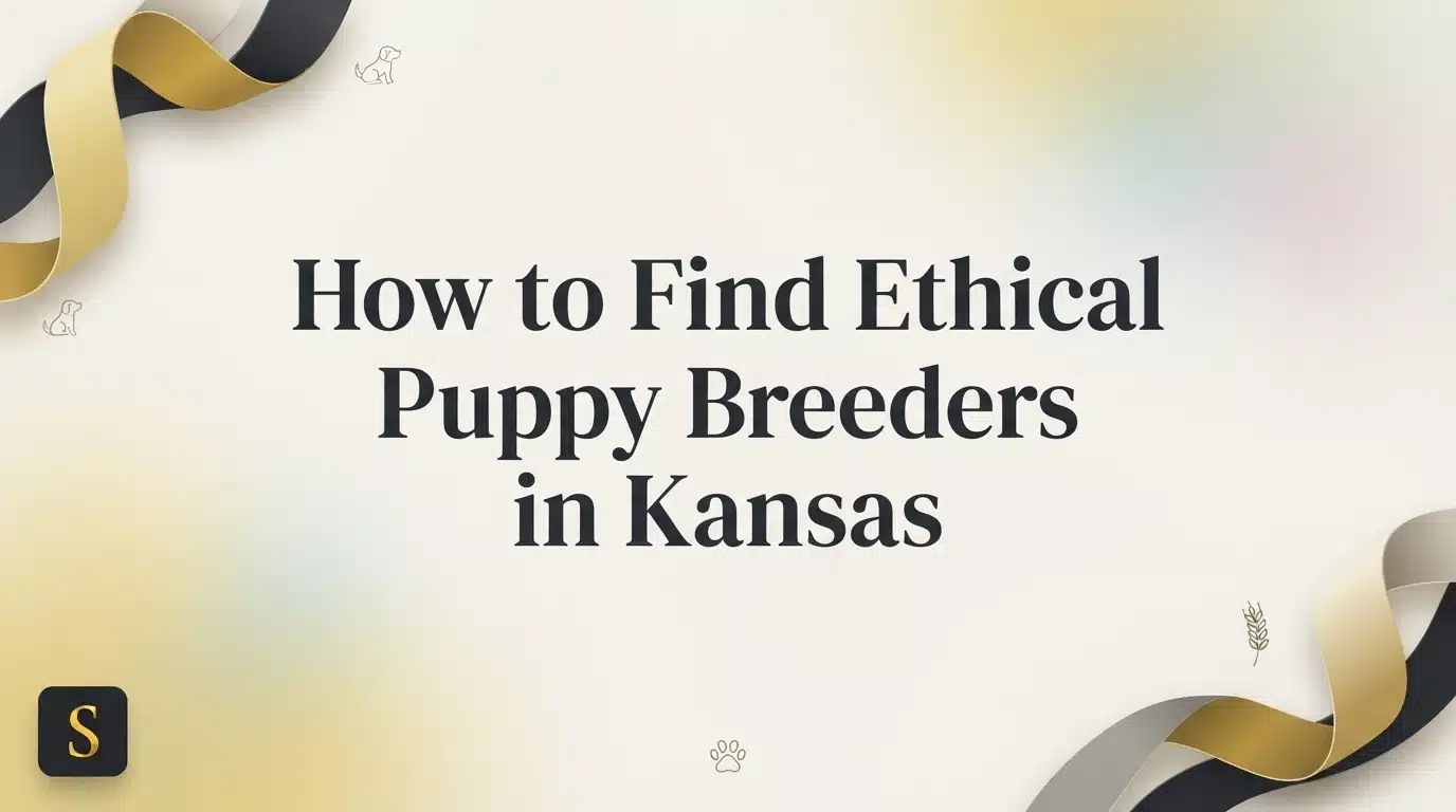 Title graphic for "How to Find Ethical Puppy Breeders in Kansas," featuring elegant black and gold ribbons, subtle paw print and wheat illustrations, and a soft, gradient background.