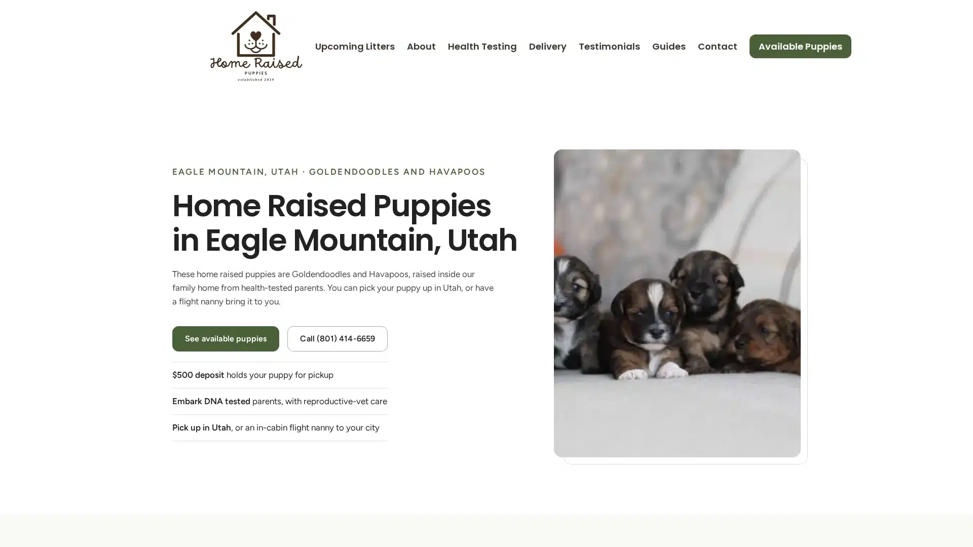 Home Raised Puppies