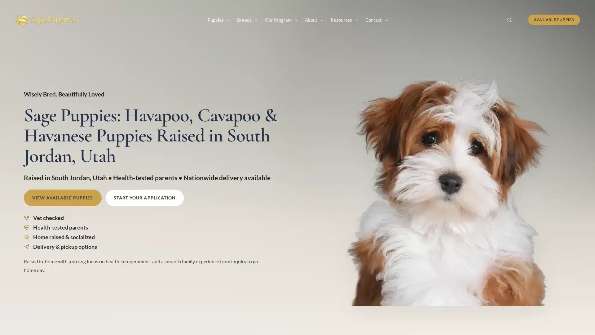 Sage Puppies
