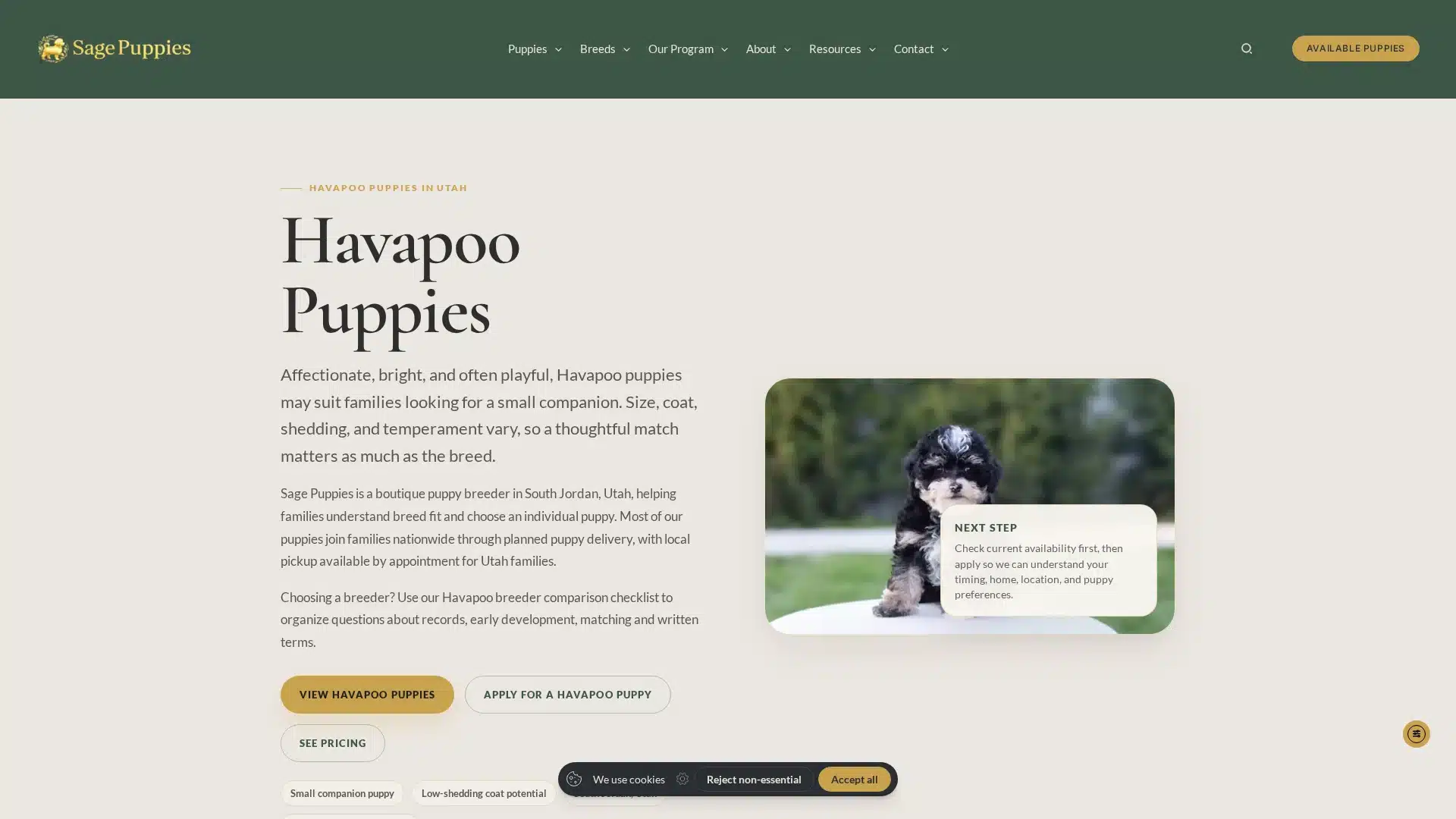 Havapoo