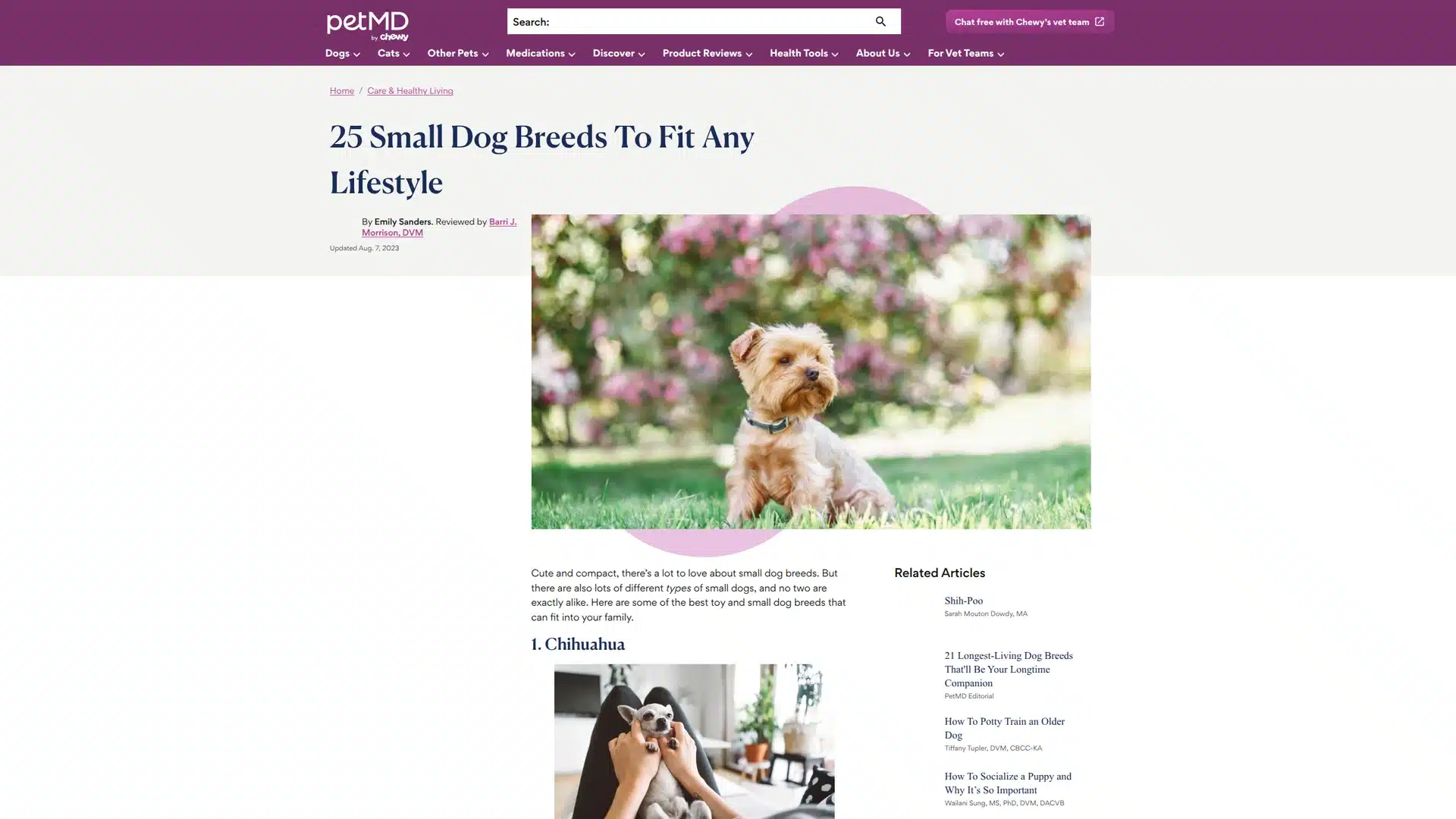 Small breed puppy (generic toy and small companion puppy)