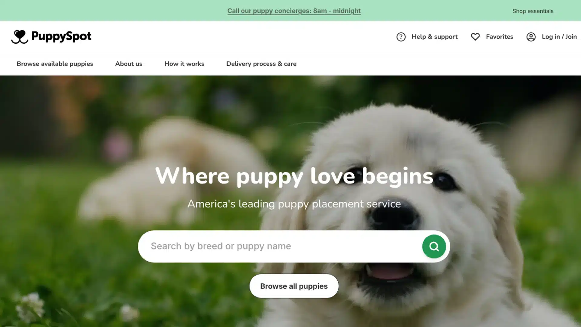 PuppySpot